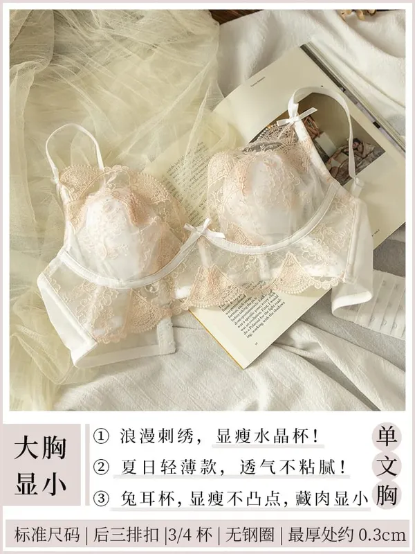 French Lace Lingerie Set Women Wirefree Minimizer Support Summer Ultra Thin Bra Large Chest Petite Look Bunny Ears — image 9