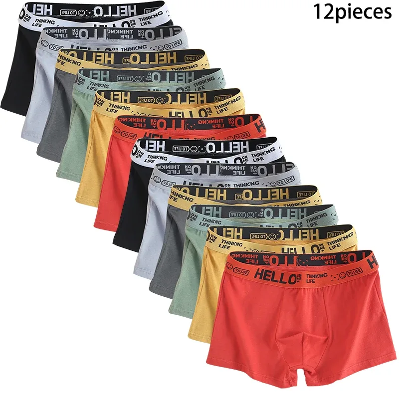 A12 pieces