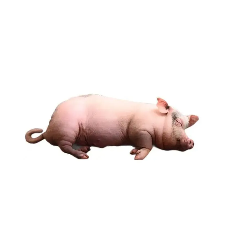 [Ny] Realistisk Sovesvin Plyslegetøj Bomuld Fyldt Naturtro Udskrivning Pig Dukke Hyggelig blød hjemmepynepude Kawaii Home Decor