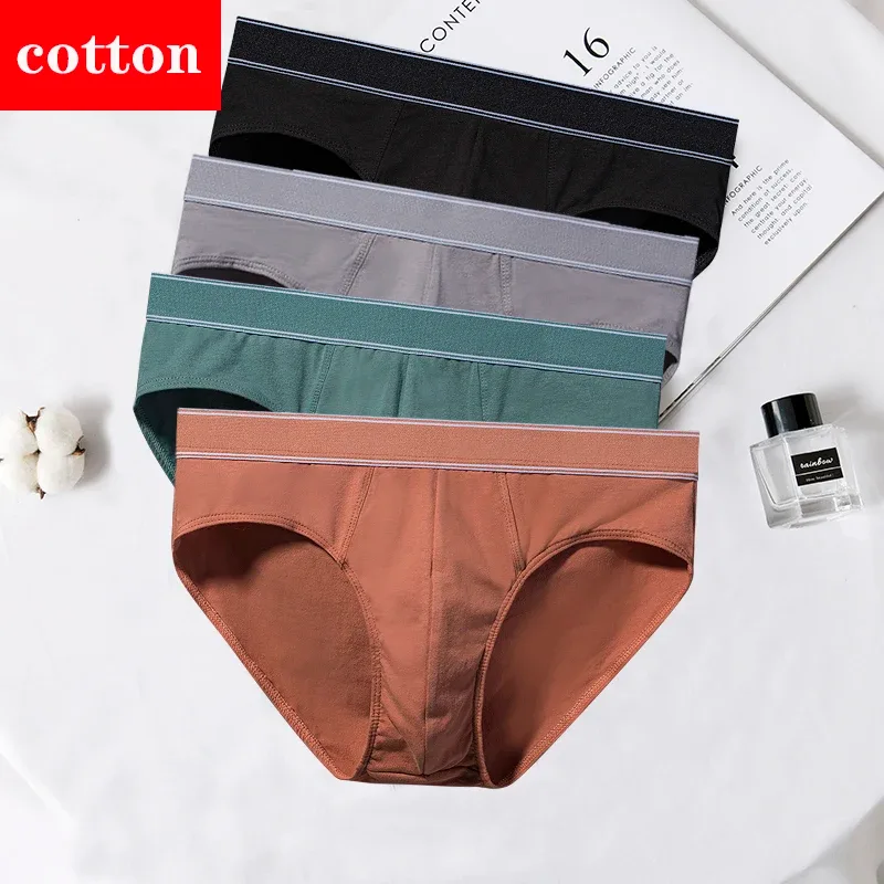 4Pcs/lot Cotton Briefs Men's Sexy Underwear Comfortable Underpants Breathable Panties Solid Shorts Male Lingerie Free Shipping — image 24
