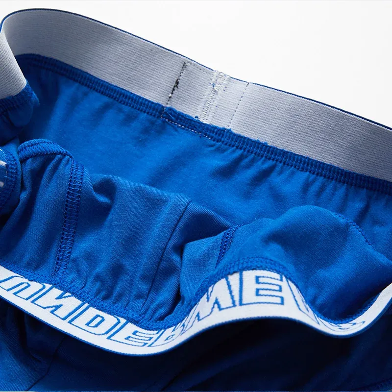 3Pcs Men's Panties Cotton Briefs Boxers Shorts Mens Underwear Breathable Comfortable Slip Underpants Classic Sexy Men Underwear