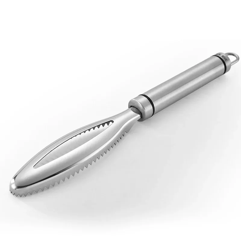 Efficient Fish Scale Remover Stainless Fish Cleaning Tool Fish Scale Remover Fish Skin Brush Scraping Scale Peeler Kitchen tools — image 11