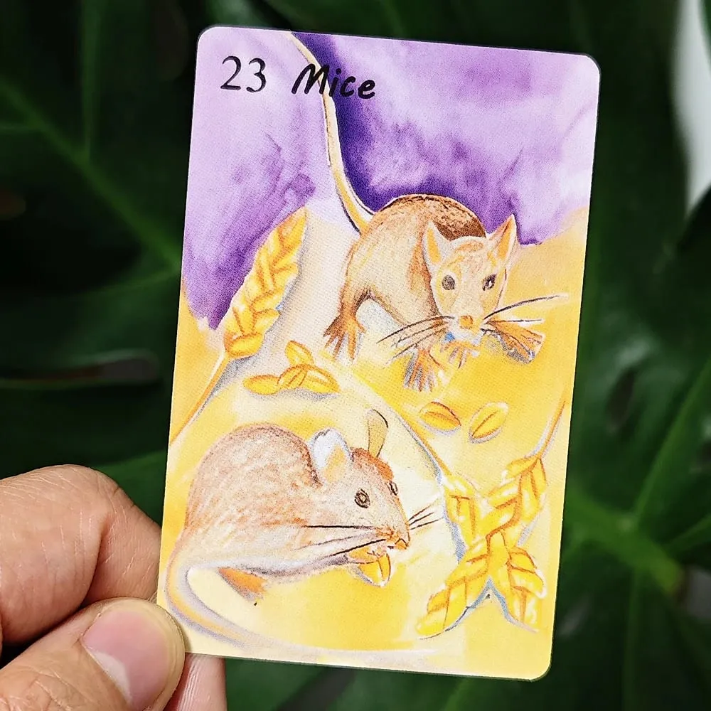 Rana System 9*6cm Watercolor Painting Lenormand Deck 42 Pcs Lenormand Cards — image 2