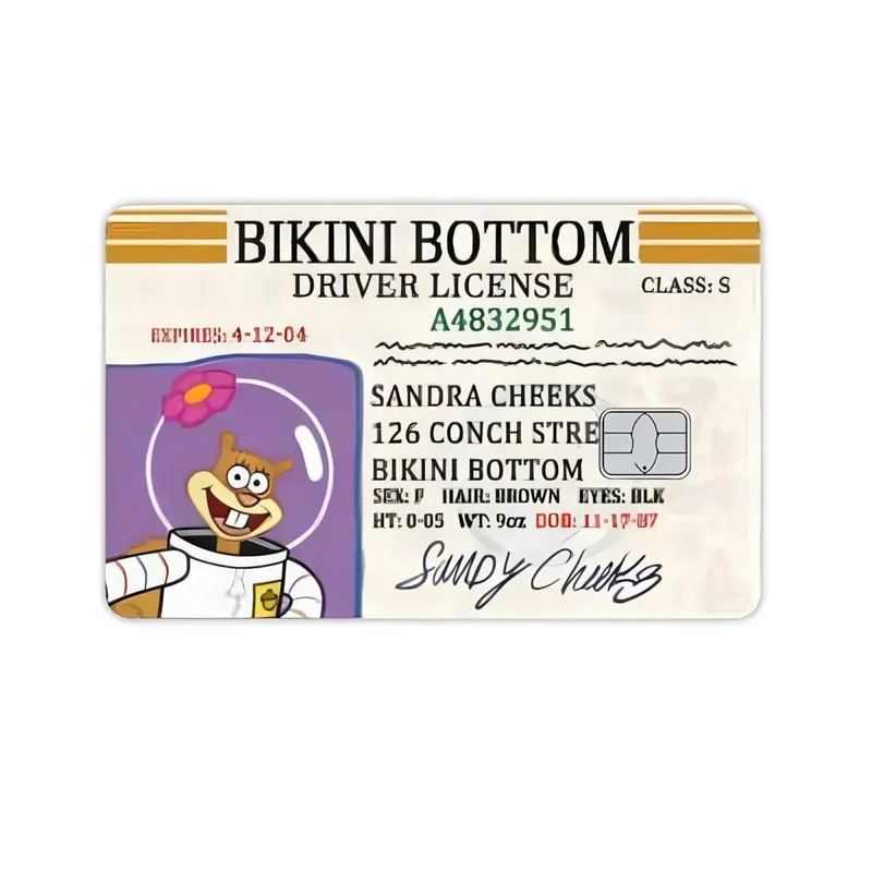 Name Card Sticker Diy Decorate Exquisite Bank Card Couple Student Study Supplies Decals Patch Documents Girl Birthday Gift — image 11