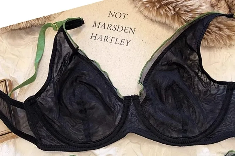 Sexy French Mesh Bra Panty Set Ultra Thin Underwire Push Up Minimizer Lingerie Support Triangle Cup for Large Chest Small Look