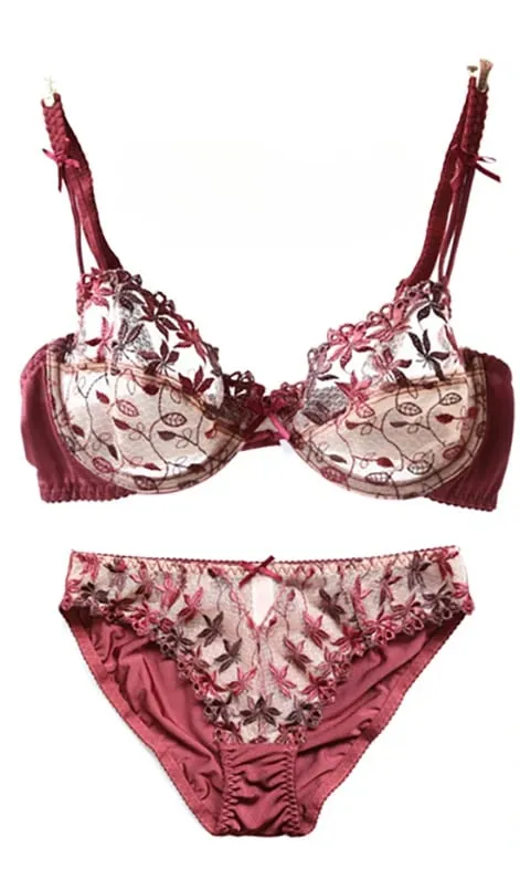 Pure Desire Victoria Thin Bra Set Lace Mesh Red Beautiful Back Sex Underwear Hold Up with Underwire Transparent Bra Woman