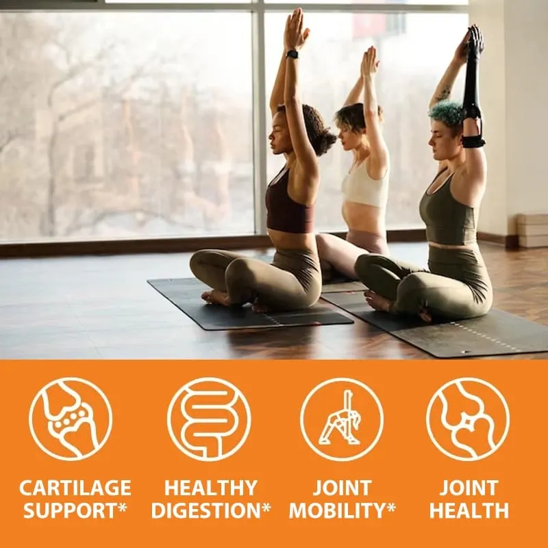 Glucosamine Chondroitin MSM and OptiMSM - Promotes Skin Nail and Joint Health — image 5
