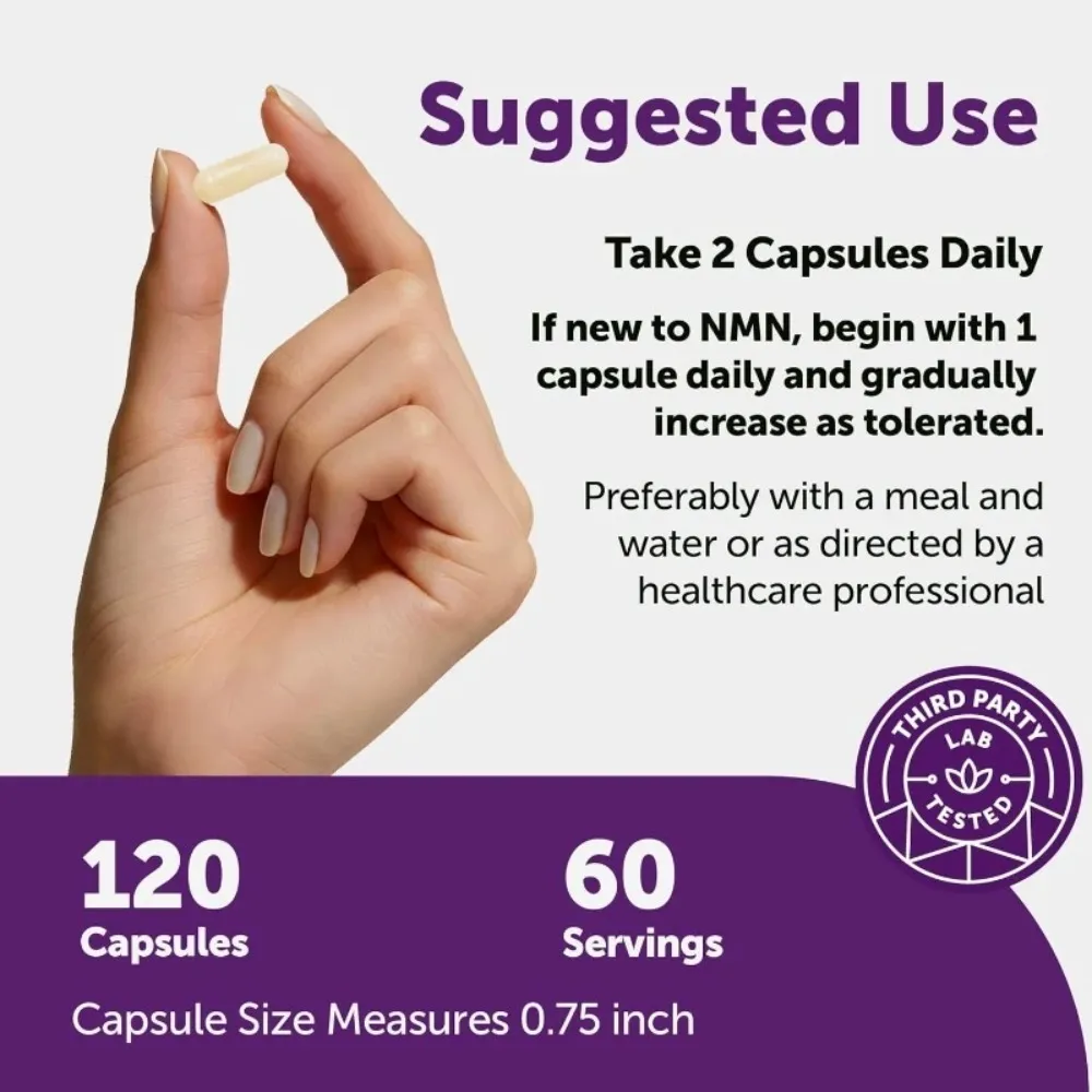 NMN kapsle 1000 mg na porci s Resveratrolem CoQ10 Vitamin C Vegan Formula Denní wellness doplněk Čisté ingredience 120Ct