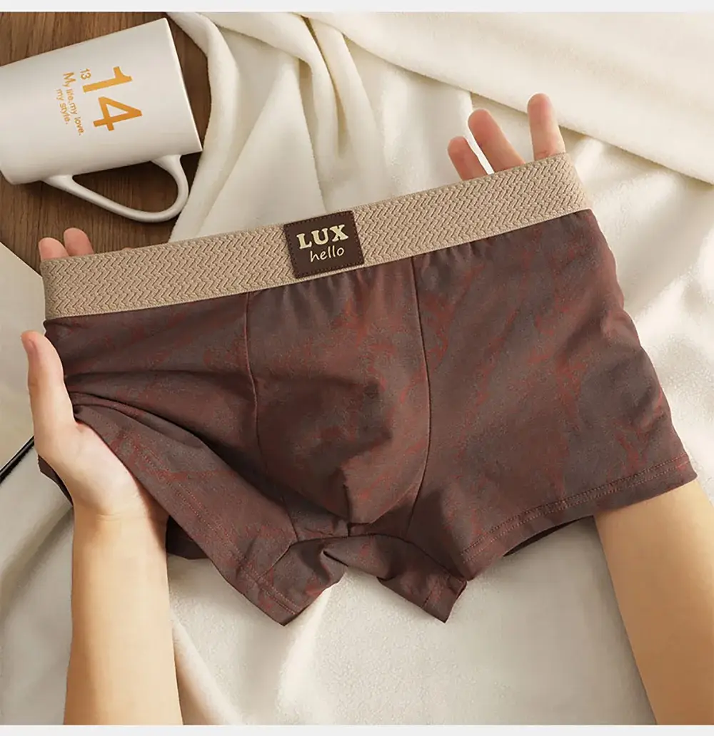 3 stks/pak 100% Katoen Luxe Print Boxers Hombre 3D Mesh Ademend Antibacteriële Pouch Ondergoed Comfortabele Zachte Heren Slipje — image 9