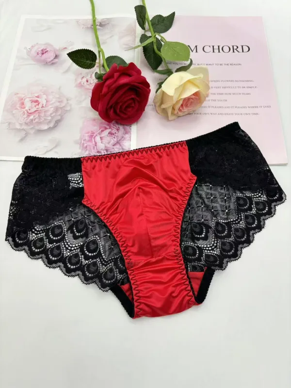 Sexy men underwear elasticity smooth underpants Transparent, breathable, Red lace Men's Briefs — image 9