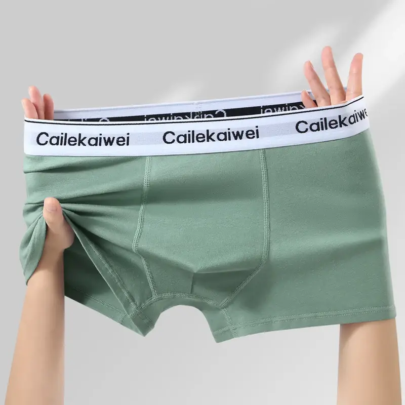 5 pçs boxer shorts roupa interior masculina sexy calcinha de algodão puro sólida elasticidade homem cuecas boxers masculinos homme u lingerie convexa — image 12