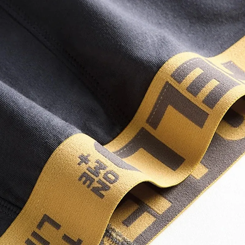 Random 5Pcs/set Men's Briefs Sexy Letter Waist Underwear Casual Comfortable Breathable Briefs Solid Color Underpants Men Panties — image 10