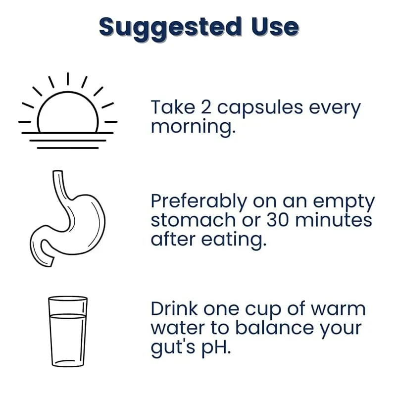 Probiotic Supplement - Gut Health Supports Weight Management Immune Health Improves Digestion Improves Mood Relaxation — image 5
