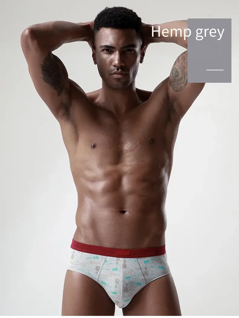 Cotton Man's Underwear Plus Size Briefs Sexy Underpants Breathable Briefs Bikini Gay Print Shorts Cueca Male Panties