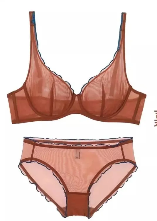 Sexy French Mesh Bra Panty Set Ultra Thin Underwire Push Up Minimizer Lingerie Support Triangle Cup for Large Chest Small Look — image 16