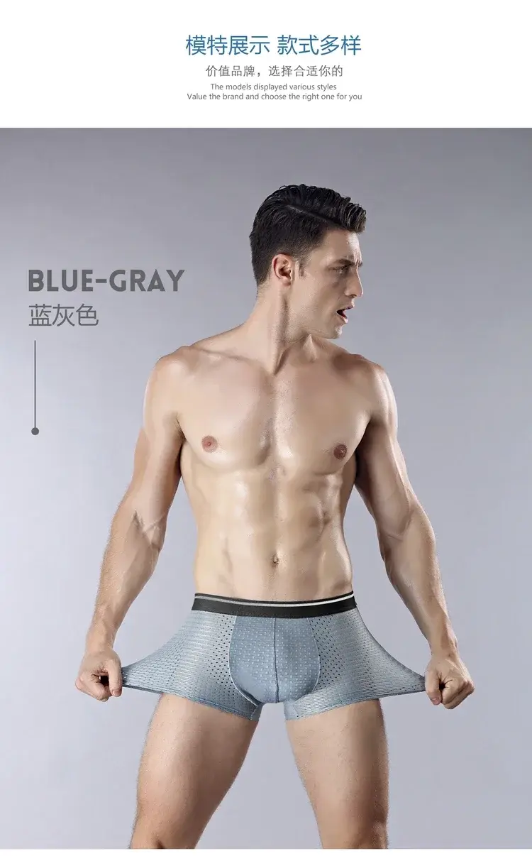 8Pcs/Lot Men's Underwear Ice Mesh Men's Shorts Sexy Underwear Breathable Soft Antibacterial Underwear for Men Plus Size L-6XL — image 10
