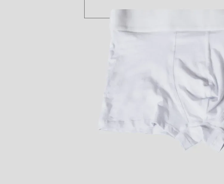 Men Underwear Boxer Cotton Floor Price Mens Underpants Comfortable Underwear Male Panties Breathable U Pouch Men Shorts — image 16