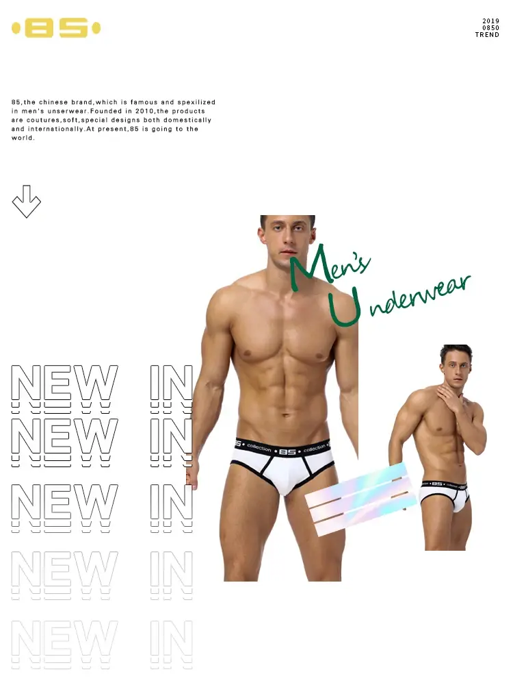 0850 Herren Sexy Unterwäsche Slips Männer Baumwolle Atmungsaktivem Höschen Großhandel Männliche Unterhose Cueca Männer Slips — image 25