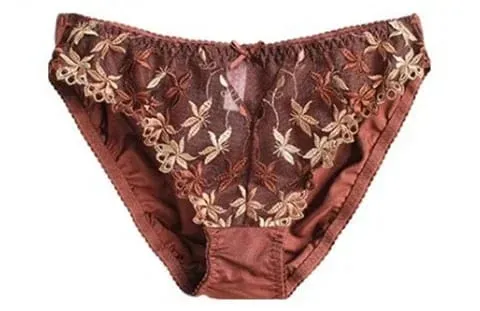 Victorian Style Plus Size Red Lace Bra Set Sexy Underwire Support for Big Breasts Women's Elegant Lingerie Bow Design