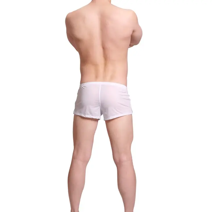 Mens Underwear Ice Silk Boxer Shorts homme Solid Mid-rised U Convex Pouch Underpants Cueca Men's Arrow Pants Plus Size M-XXL — image 8