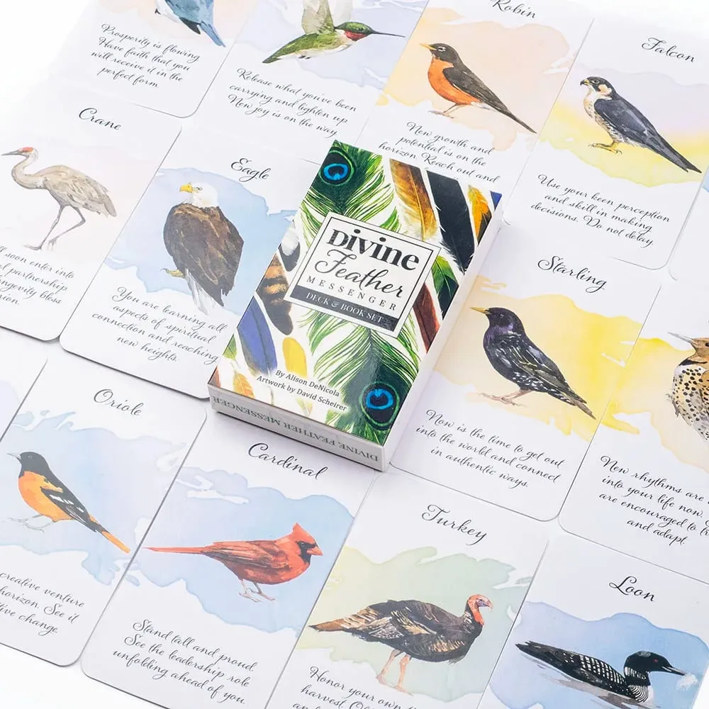Divine Feather Messenger Tarot Oracle Cards 44 Birds Symbolism & Energies 10.3x6CM Divination Fate Reading and Board Game — image 6