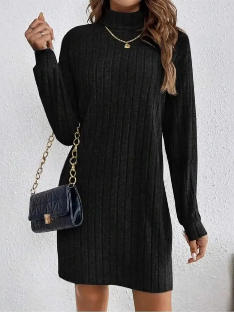 Autumn Winter Dress Woemn Casual Trutleneck Long Sleeve Solid Knitted Dress 2024 New Fashion Loose Comfortable Dresses Female — image 2