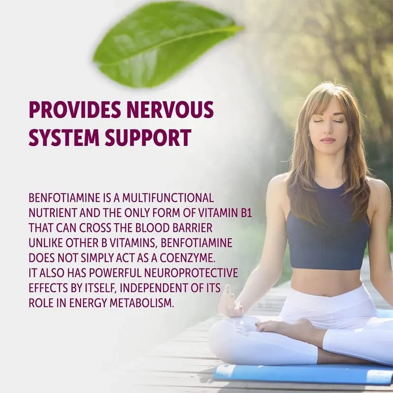 Daily thiamine supplement – aids in nervous system function supports muscle function and is a natural energy supplement — image 4