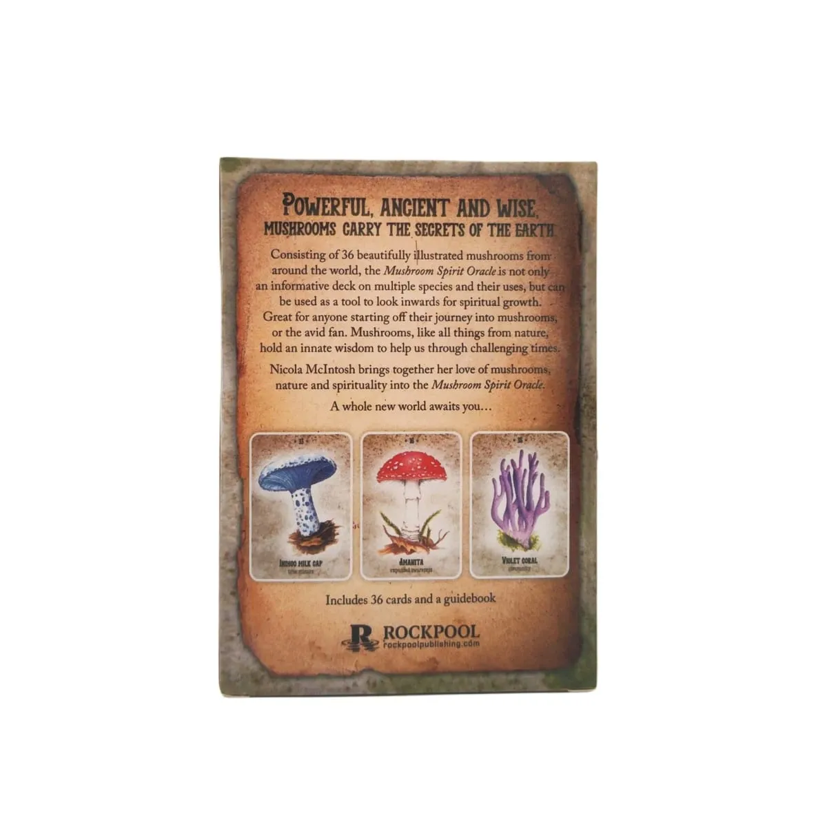 Mushroom Spirit Oracle Cards Board Games — image 6