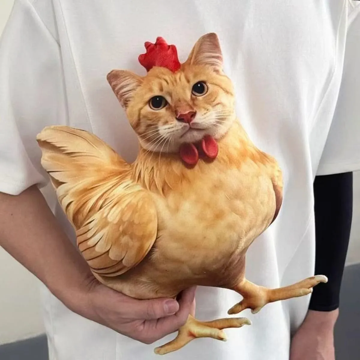 Gato frango engraçado novidade macio travesseiro de pelúcia bonito animal pelúcia sofá almofada 3d laranja malhado gatinho boneca — image 5