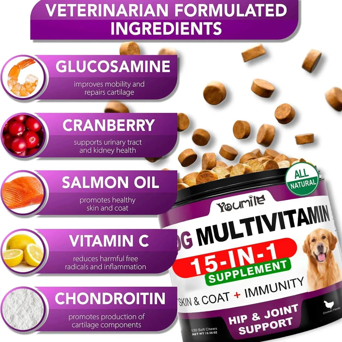 Kıdemli ve Yavru Köpek Multivitamin Takviyesi Çoklu Vitaminler Tavuk Aromalı Evcil Hayvan Eklem Bağışıklığı Hareketlilik Enerji Bağırsak Cilt için Çiğneme
