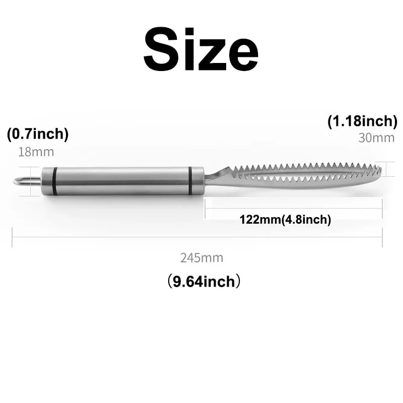 Efficient Fish Scale Remover Stainless Fish Cleaning Tool Fish Scale Remover Fish Skin Brush Scraping Scale Peeler Kitchen tools — image 6