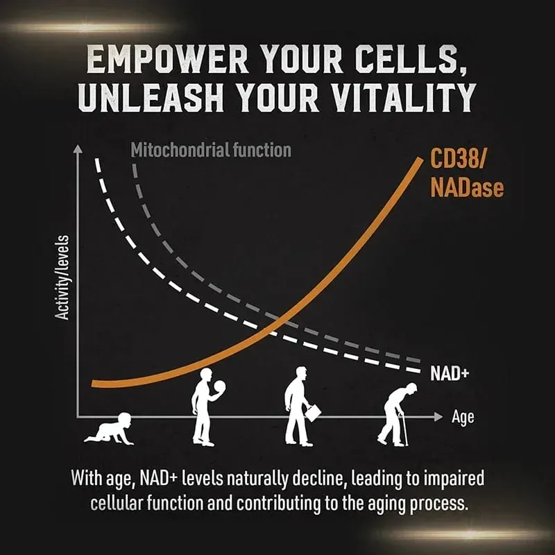 Liposomal NAD Supplement - Support Cellular Health Stamina & Healthy Aging
