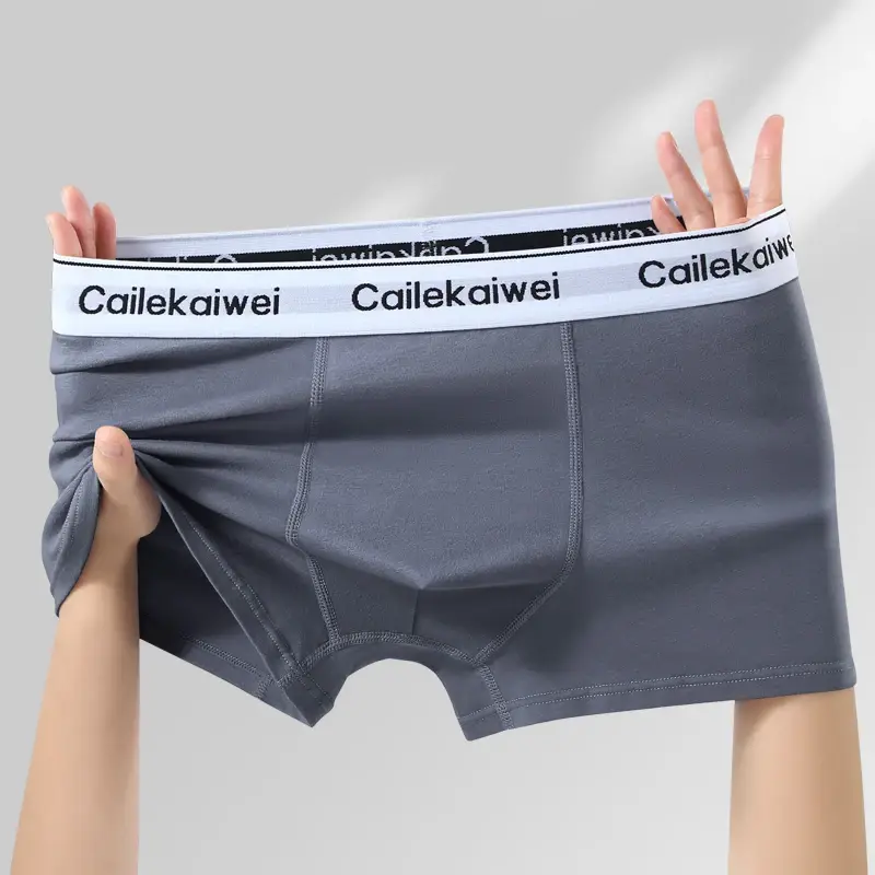 5 pçs boxer shorts roupa interior masculina sexy calcinha de algodão puro sólida elasticidade homem cuecas boxers masculinos homme u lingerie convexa — image 11