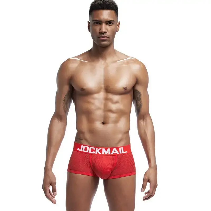 Jockmail Boxers Sexy Mens Panties Mesh Quick-drying Breathable Calzoncillos Solid Color Simple Boxers Hombre Semi-transparent — image 18