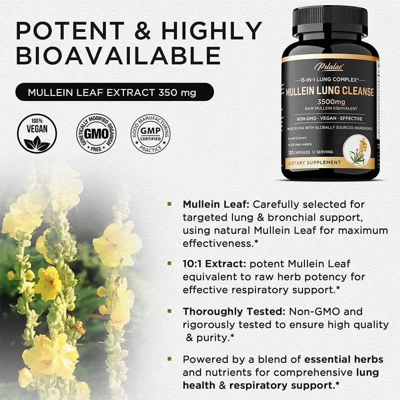 Mullein Longreiniging - Longzuivering Longgezondheid Immuniteit - Ademhalingssupplement voor rokers Vegetarische capsules — image 3