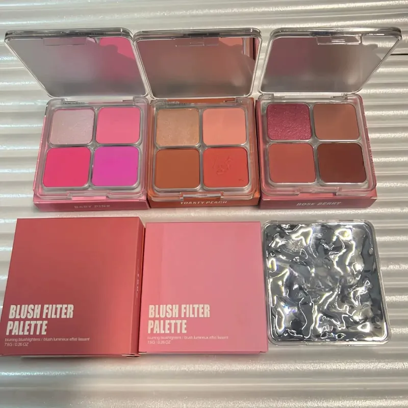 4-in-1 Women's Cosmetic Blush & Brush Set Matte Shimmer Long-Lasting Daily Use Eye Check Palette Filter Flush Beauty Tools — image 5