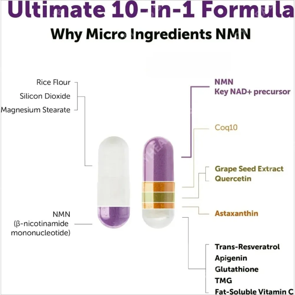 NMN kapsle 1000 mg na porci s Resveratrolem CoQ10 Vitamin C Vegan Formula Denní wellness doplněk Čisté ingredience 120Ct