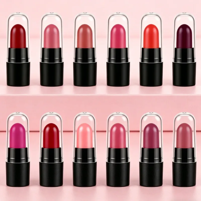 DNM Mini Capsule Lipstick 12 Color Set Matte Waterproof Durable And Not Easy To Stick To Cups Color Rendering Lipstick — image 5