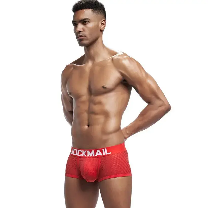 Jockmail Boxers Sexy Mens Panties Mesh Quick-drying Breathable Calzoncillos Solid Color Simple Boxers Hombre Semi-transparent — image 20