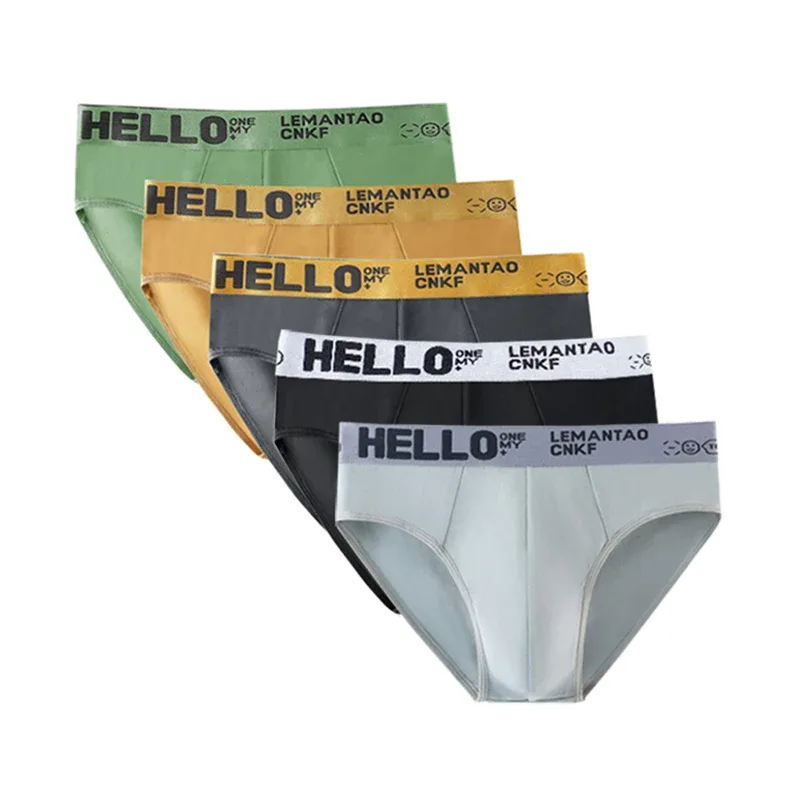 5Pcs Men Underwears Ventilate Men's Briefs Breathable Male Large Size L-5XL Comfortable Solid Underpants Fashion Boy Panties — image 2