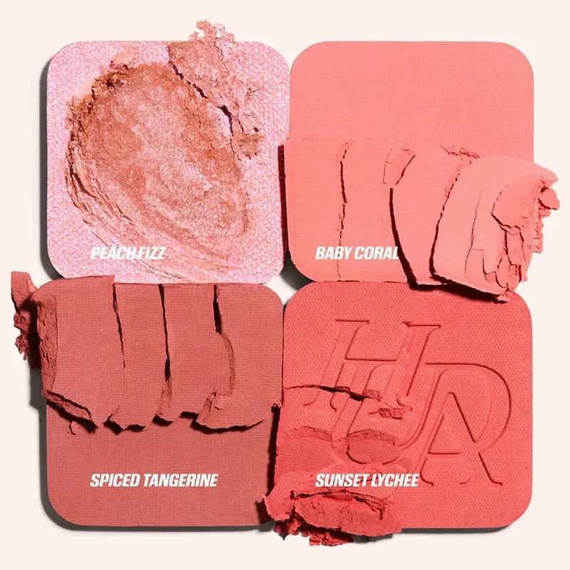 4-in-1 Women's Cosmetic Blush & Brush Set Matte Shimmer Long-Lasting Daily Use Eye Check Palette Filter Flush Beauty Tools — image 1