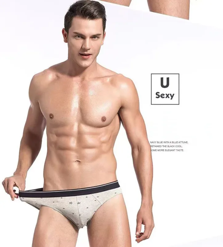 4Pcs/lot Cotton Briefs Men's Sexy Underwear Comfortable Underpants Breathable Panties Solid Shorts Male Lingerie Free Shipping — image 18