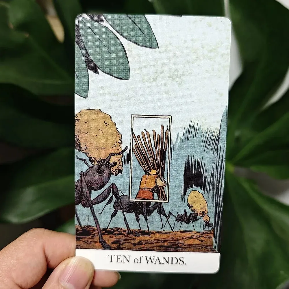 Ortaya Çıkan Tarot 12*7cm 80 Adet Tarot Kartı (2 Özel Kartlı) Sert Kutuda 350GSM Çift Kabartmalı Kart Stoğu Üzerine Basılmıştır
