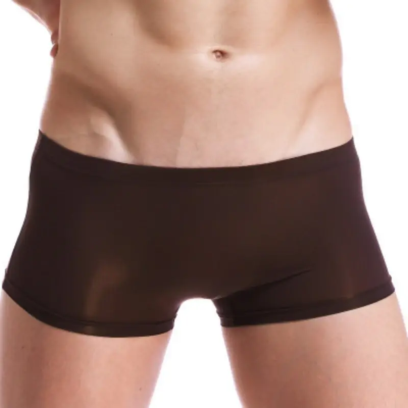 Men Trunks Ice Silk Boxer Thin Translucent Panties Sexy Breathable Underwear Low-Rise U Convex Underpants Knickers Slip Homme