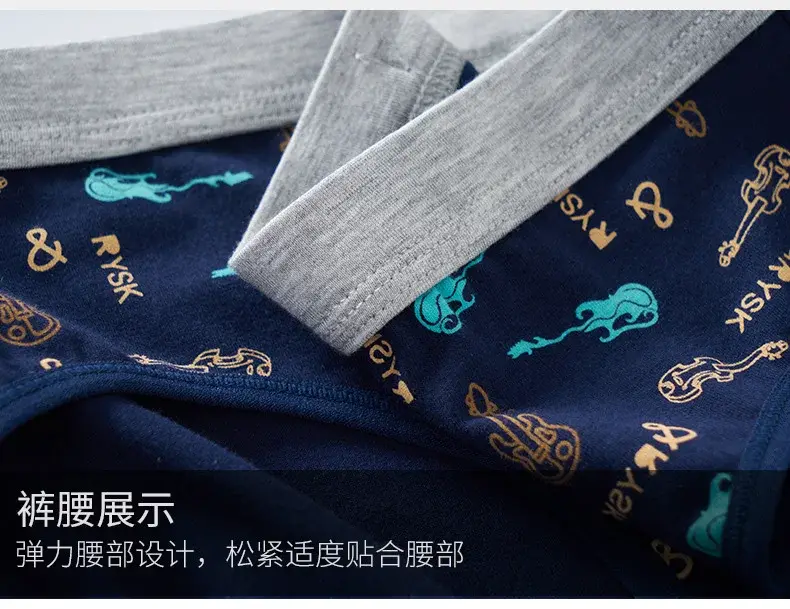 Cotton Man's Underwear Plus Size Briefs Sexy Underpants Breathable Briefs Bikini Gay Print Shorts Cueca Male Panties