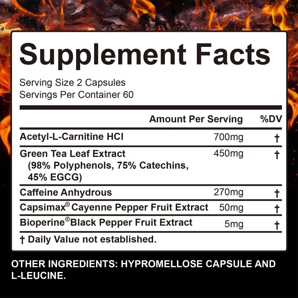 Burn-XT Fat Burner - Burn Calories Suppress Appetite Detoxify Promote Digestive Health