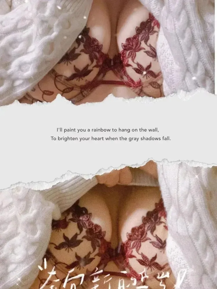 Victorian Style Plus Size Red Lace Bra Set Sexy Underwire Support for Big Breasts Women's Elegant Lingerie Bow Design