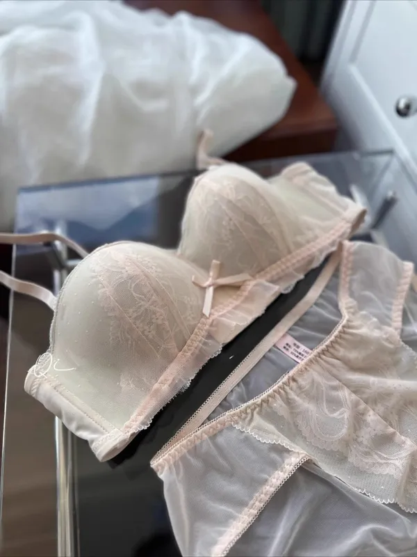 Viktorianisch inspiriertes Demi-BH- und Knicker-Set | Transparenter Push-up-BH aus Mesh-Spitze für kleine Brüste, Anti-Durchhängen | Luxus-Dessous MOYISU Höschen — image 14