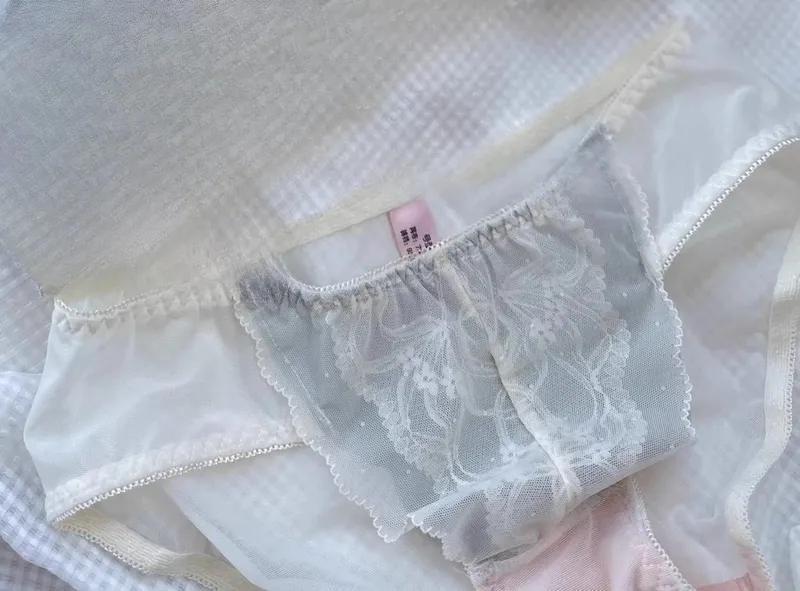 Viktorianisch inspiriertes Demi-BH- und Knicker-Set | Transparenter Push-up-BH aus Mesh-Spitze für kleine Brüste, Anti-Durchhängen | Luxus-Dessous MOYISU Höschen — image 15