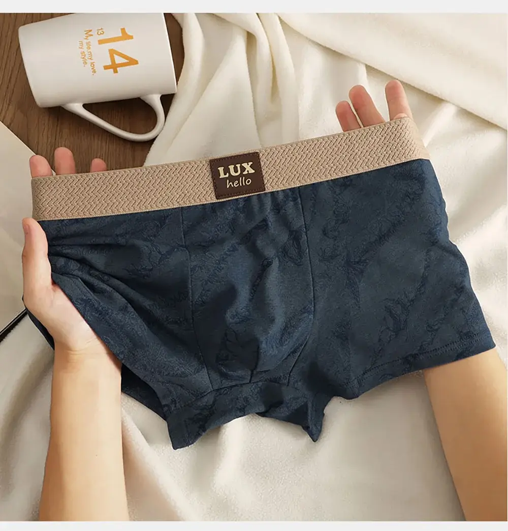 3 stks/pak 100% Katoen Luxe Print Boxers Hombre 3D Mesh Ademend Antibacteriële Pouch Ondergoed Comfortabele Zachte Heren Slipje — image 10